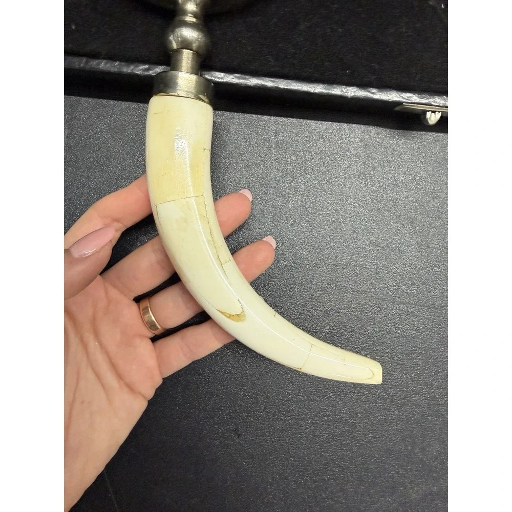 Vintage Tusk Style Handle Magnifying Glass Desk‎ Decor w/ Case